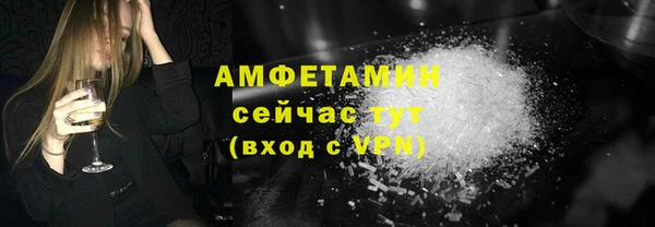 прущие грибы Нея