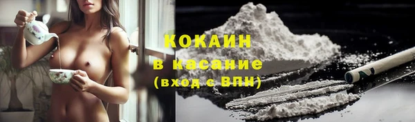прущие грибы Нея