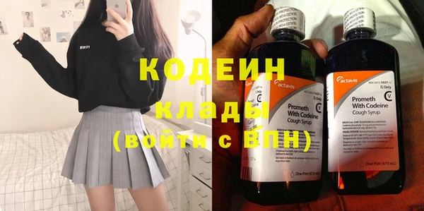 прущие грибы Нея