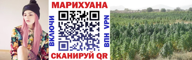 закладки  Крым  Конопля конопля 